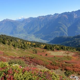 paysage automne