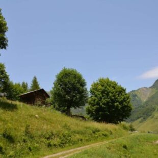Montsapey - Tioulevé
