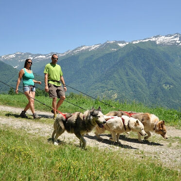 Cani-Rando