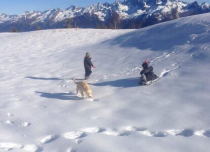 Luge à La jasse