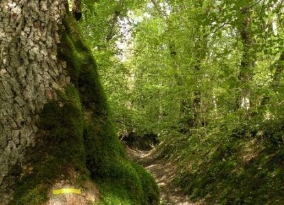 Chemin balisé pour monter aux Combes