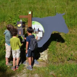 Parcours Nos Trésors cachés