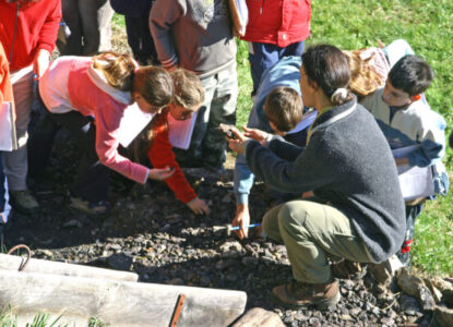 Ateliers des ptits curieux