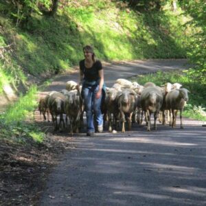 Ferme des Cathelins