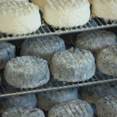 Fromages ferme des Cathelins