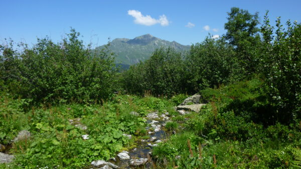 Sentier des alpages Montsapey