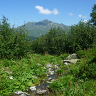 Sentier des alpages Montsapey