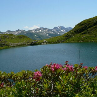 Le Lac Noir Montsapey