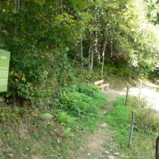 Sentier Nature et Souvenirs Montsapey