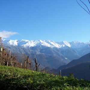 Aiton vue des vignes