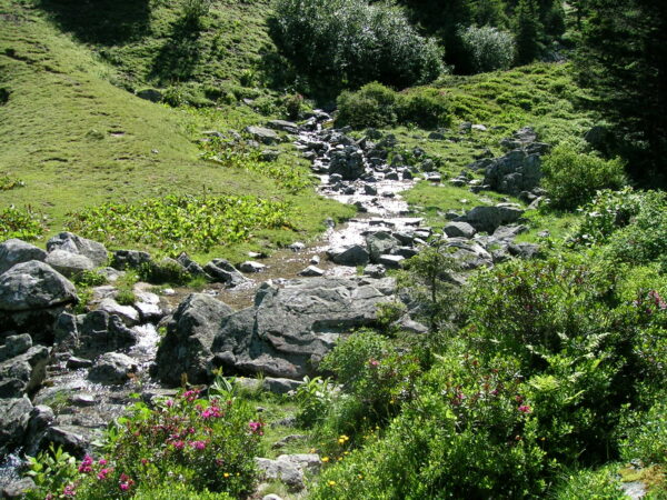 Paysage Porte de Maurienne