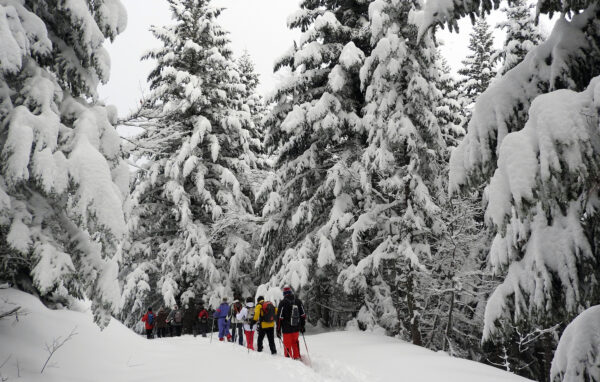 raquettes à neige