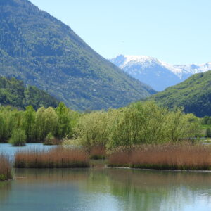 Natura 2000