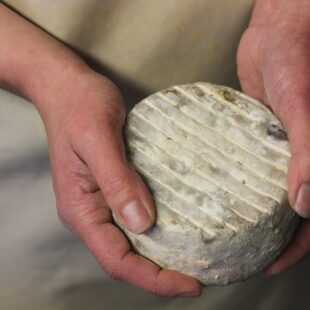 Tomette et mains ferme des cathelins